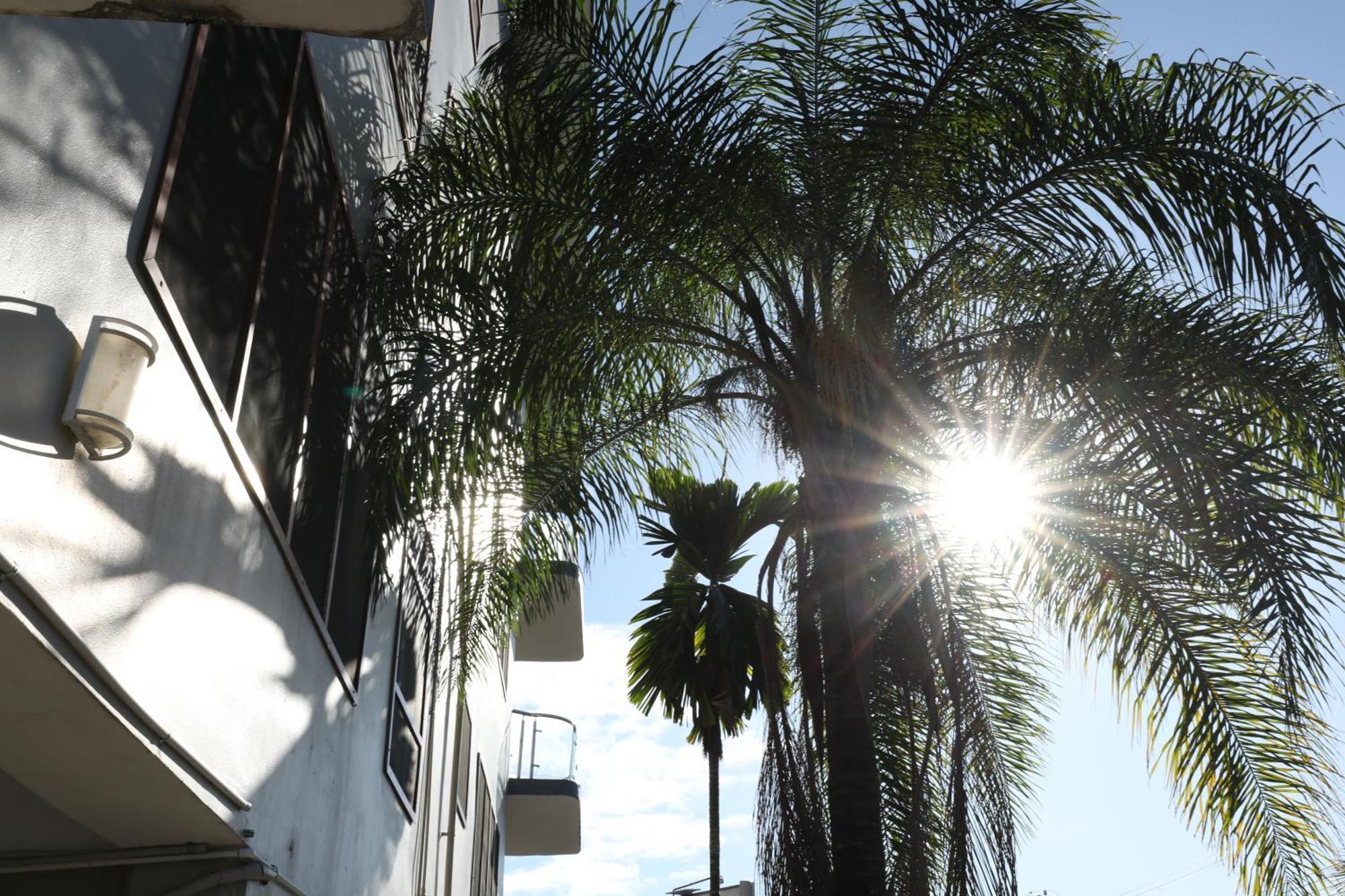 Tropical Plaza Apt Nadi Ngoại thất bức ảnh